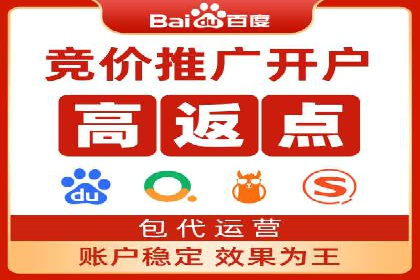 百度竞价代理全攻略：成功案例分享